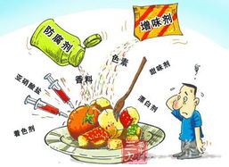 浙江新政 食品添加剂交易备案与住宿服务创新升级